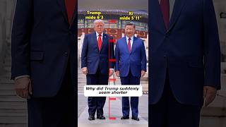 Why did Trump become shorter after he arrived in China?#celebrity #shorts #story #trump #foryou Wealth