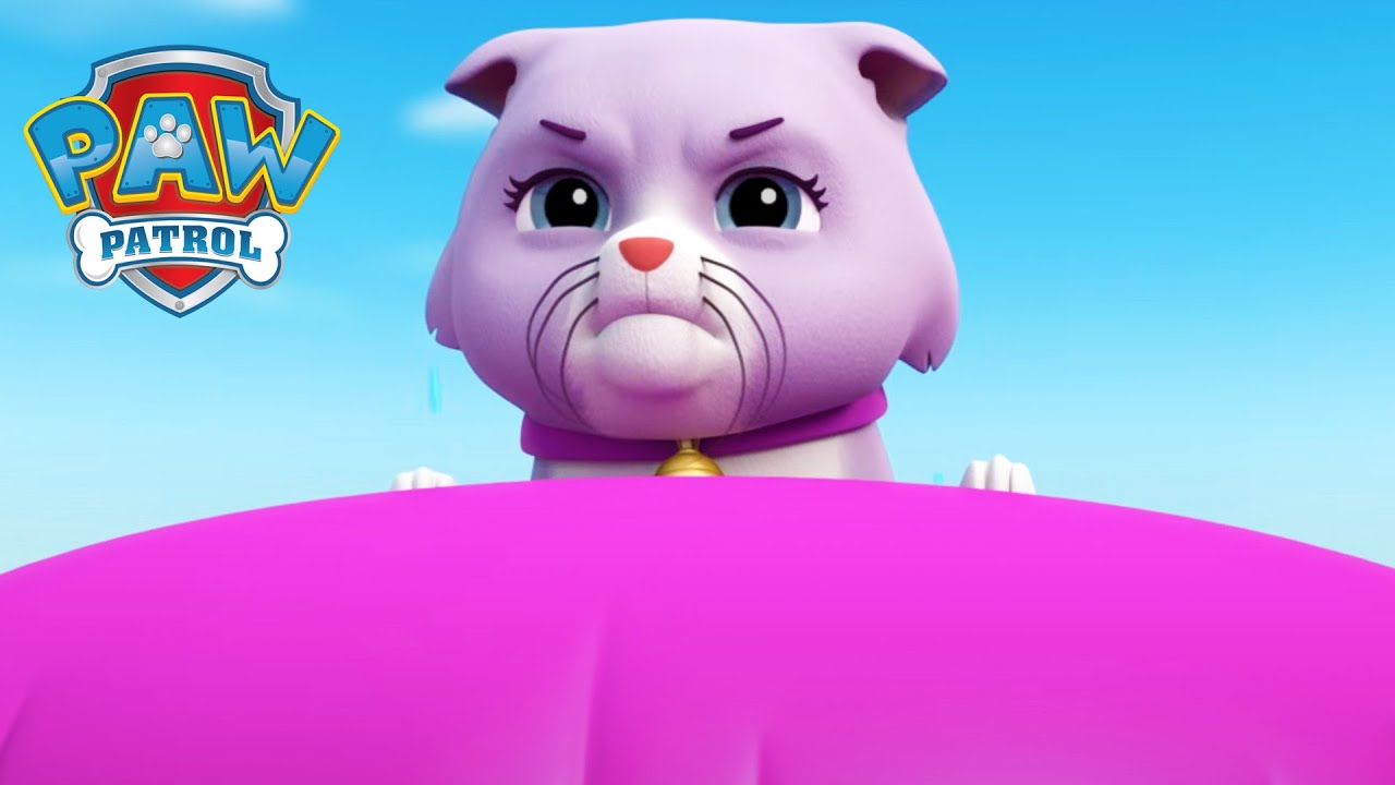 Madre e figlio! - PAW Patrol I cuccioli Episodi Italiano - Pup Tales