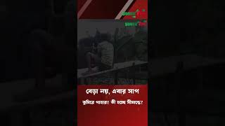 সীমান্তে সাপ-কুমিরের গার্ড! এটা সত্যি নাকি গুজব? #breakingnews #shorts