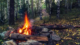 Soothing Campfire & Enchanted Chants for Deep Meditation and Relaxation, Stress Relief