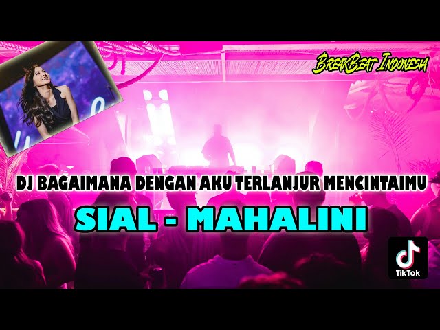 DJ ! SIAL - MAHALINI | BAGAIMANA DENGAN AKU TERLANJUR MENCINTAIMU class=