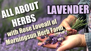 7/8 Lavender  Morningsun Herb Farm's 8video series 'ALL ABOUT HERBS' with Rose Loveall