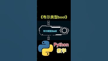 布尔类型bool #python教学