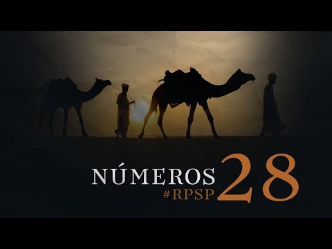 NÚMEROS 28 Resumen