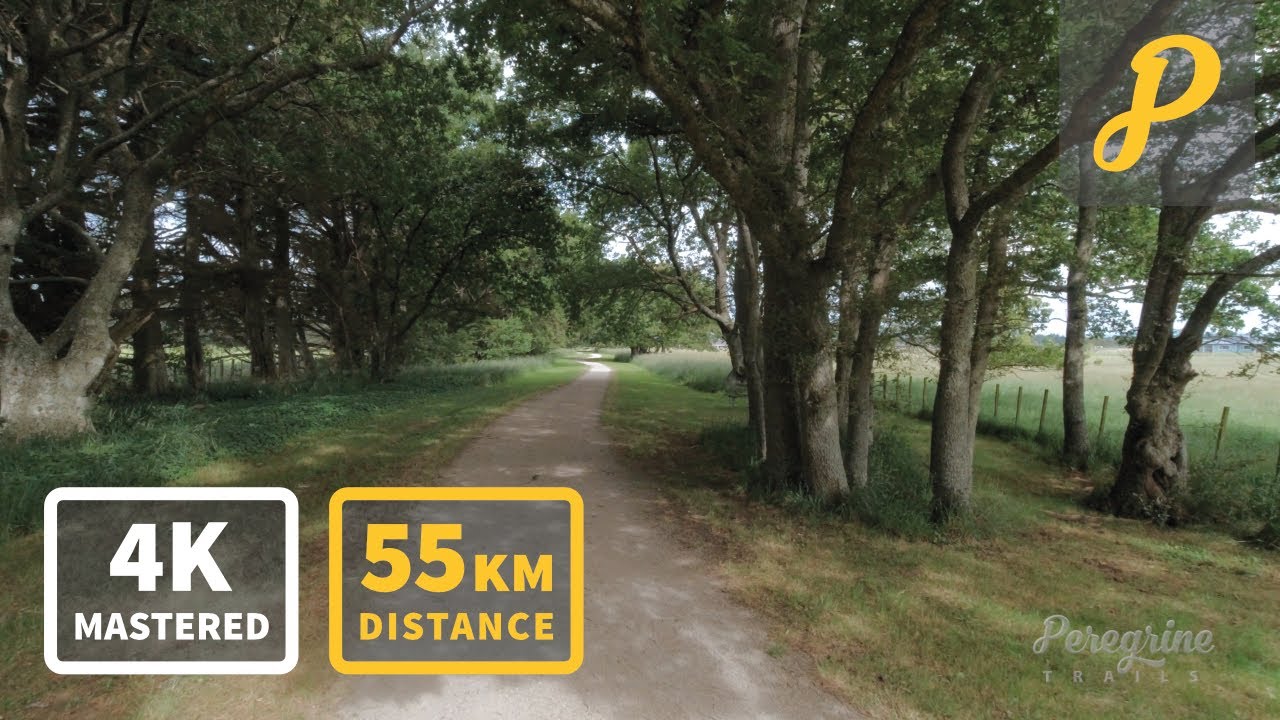 Stormy Summer Adventure: Gravel Bike Return from Featherston to Greytown [4K]