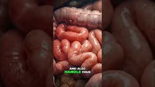 Stop Night Cravings Beat Dopamine Hunger NOW!