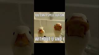 Duck Memes
