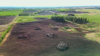 TREE EATER INC - Brushing and Tilling for Farmland Development