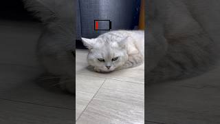 Share Your Energy With Mani Subscribe To Support