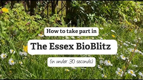 How to take part in The Essex BioBlitz 🌸