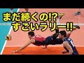 【バレーボール】57秒⁉︎男子バレーでは珍しいロングラリー!!【スーパープレイ】Long rally rare in men's volleyball !!【Volleyball】