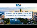 Extending Virtual Options Through the TxVSN