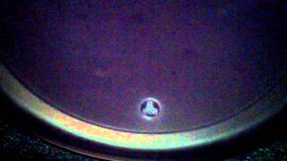 JL Audio 12W3v3 Subwoofer with JL Audio JX360/2 amp