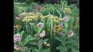 Top Ten Things New Native Gardeners Need to Know