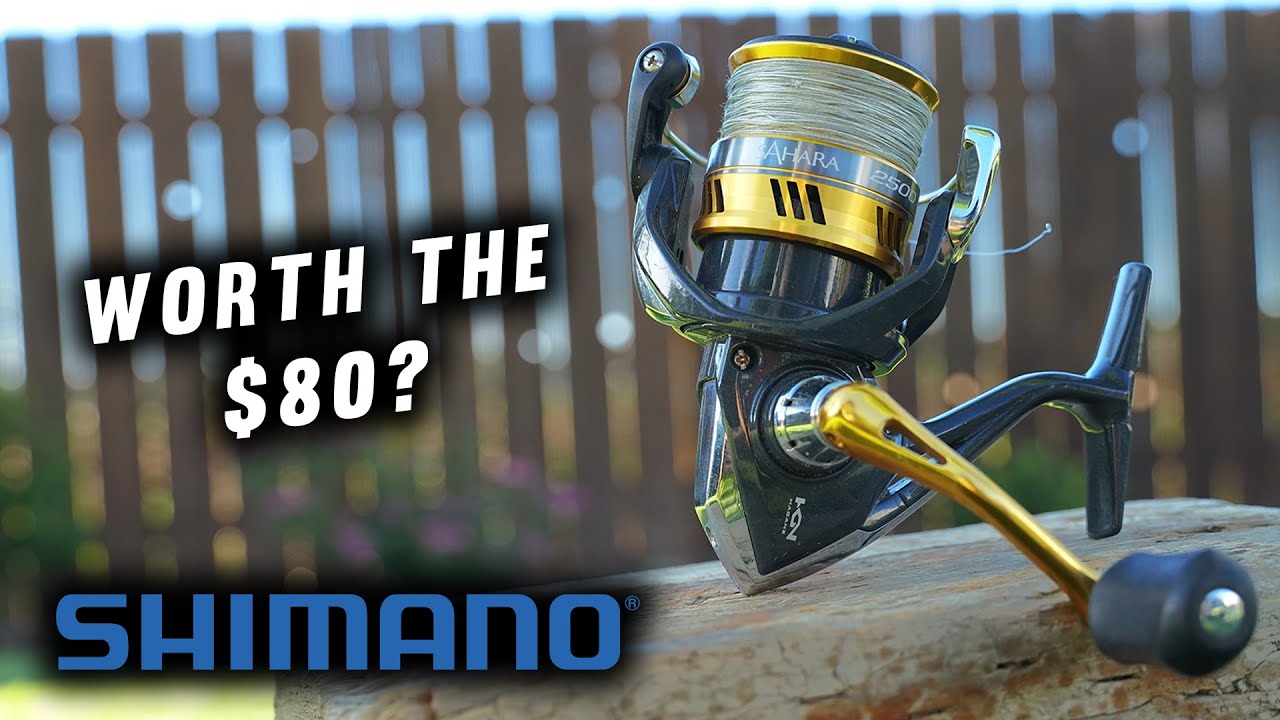 Shimano Sahara FJ Spinning Reel - 1000