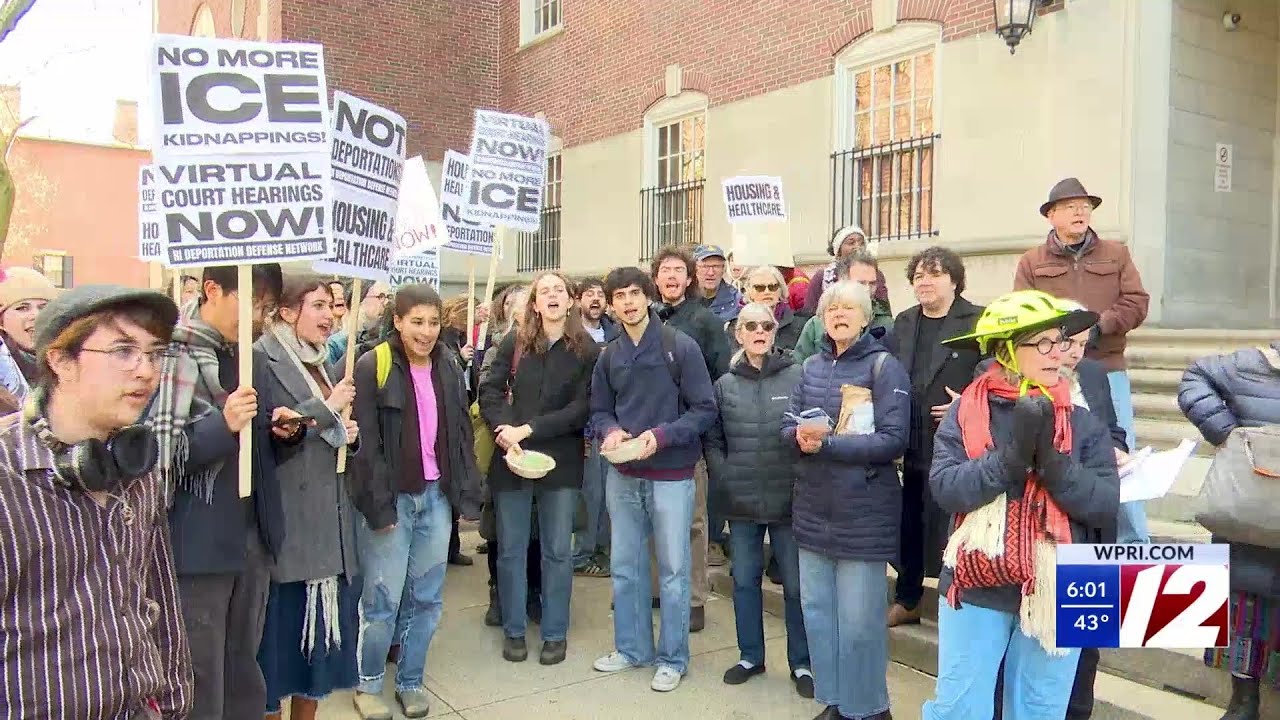 Group of demonstrators gather outside court house calling to state leaders to allow more virtual hea