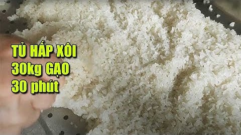 Review tủ hấp đồ xôi siêu tốc sử dụng trong thực tế có ngon như quảng cáo?