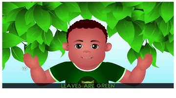 Unit 3 lesson 2 connect 3