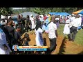 Celebrating The Life Of Herman Lukongo Mboi 
