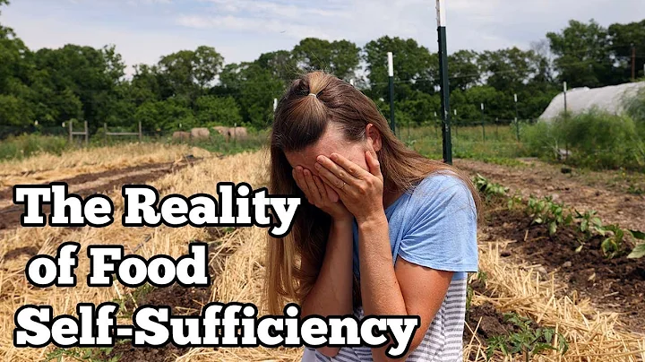 The Reality of Food Self-Sufficiency - DayDayNews