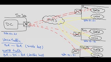 Cisco SD-WAN -  Traffic Engineering with Custom Control (Route & TLOC)