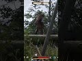 Longbow - the best? | KCD2 #kcd2 #kingdomcomedeliverance2