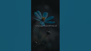 اكتب شيء تؤجر عليه | سورة الإسراء الآية 47-49 القارئ ماهر المعيقلي