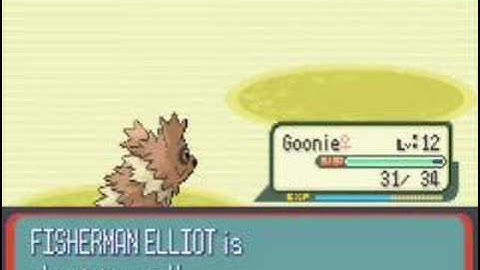 Umbreon57 in pokemon ruby part8