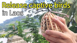 Release captive birds in Laos, Luang Prabang, Mekong River