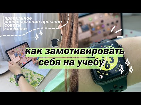 КАК МОТИВИРОВАТЬ СЕБЯ УЧИТЬСЯ // КАК ВСЕ УСПЕВАТЬ ВО ВРЕМЯ УЧЕБЫ? 📚