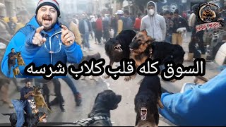 سوق الجمعه انقلب كله لكلاب شرسه /كلب واحد جرى السوق كله /شوف جمال الاسكندريه وجمال بحرها