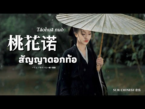 [THAISUB] 桃花诺 - สัญญาดอกท้อ |เพลงจีนแปลไทย