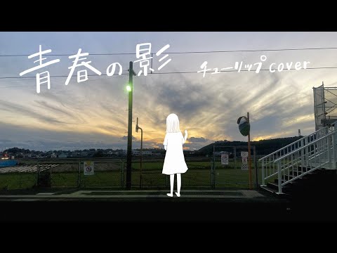 鎌田純子 / 青春の影〈チューリップ〉