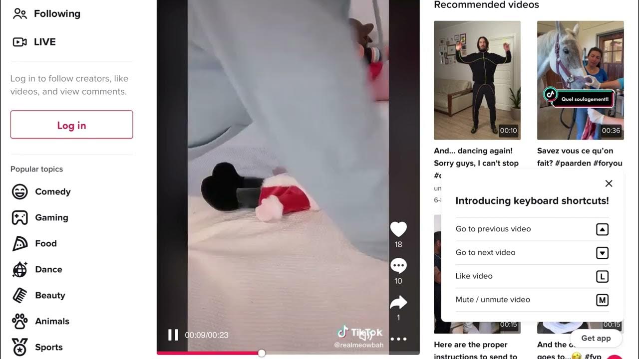 Meowbahh riding techno blade TikTok [Removed Video] YouTube