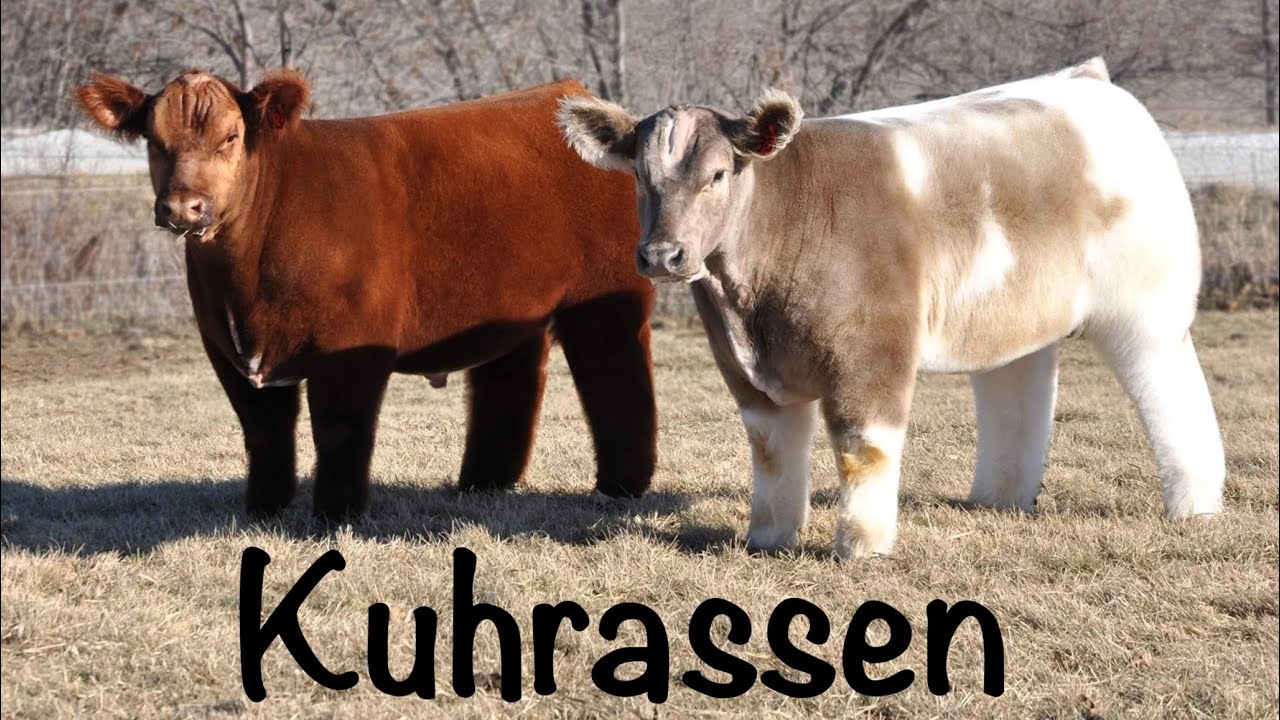 Подпись была, но её украли гномы.