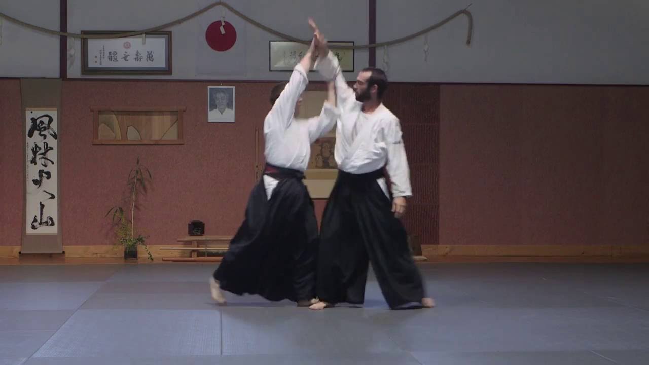 Kaeshi Waza ● Kobayashi Ryu Aikido