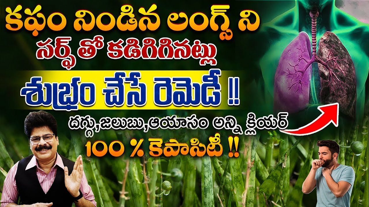 దగ్గు & బ్రాంకైటిస్‌కి ఓ సరైన పరిష్కారం — ఈ మొక్కతో | A perfect solution for Cough & Bronchitis