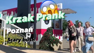 Best prank/fanny video/Termy Maltańskie