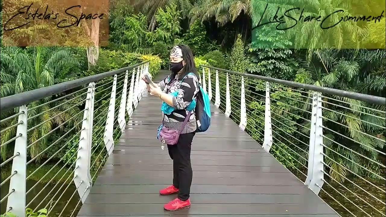 7 kind. 7 kind. семерка из киндер сюрприз. киндер сюрприз гномы. Liam and bruce.