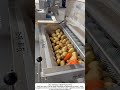Fast Potato Washing – Tossing Spuds into a Cleaning Machine 🥔💦