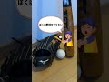 三男の中学受験を、小5でやめます #shorts