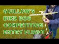 Experience the thrill of guillows bird dog qualifying competition flight