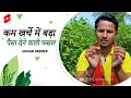 कम खर्चे में बड़ा पैसा देने वाली फसल | Smart management Beans Farm🌱 #Shorts #indianfarmer