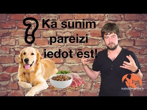 Video: Kas ir suņi, kuriem ir 