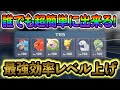 [ポケモンZA レベル上げ]序盤からできる！最高効率のレベル上げ方法を徹底解説します！！！
