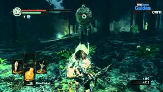 Dark Souls Walkthrough - Dark Souls Guide - Darkroot Garden To The Moonlight Butterfly