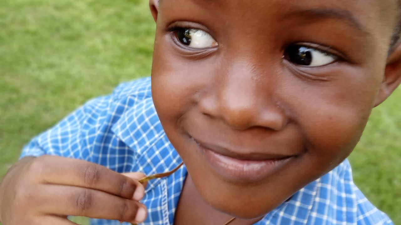 HELP WISE RAJON HARVEY A HAPPY BIRTHDAY (TURNING 6) - YouTube
