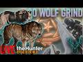 🔴Great One Wolf Speedrun | 1 Kill In | theHunter Call of the wild | LIVE 🔴