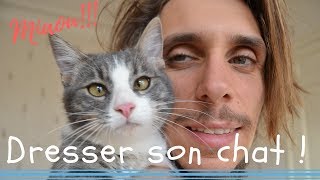 3 techniques pour dresser son chat!!!