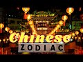 THE CHINESE ZODIAC